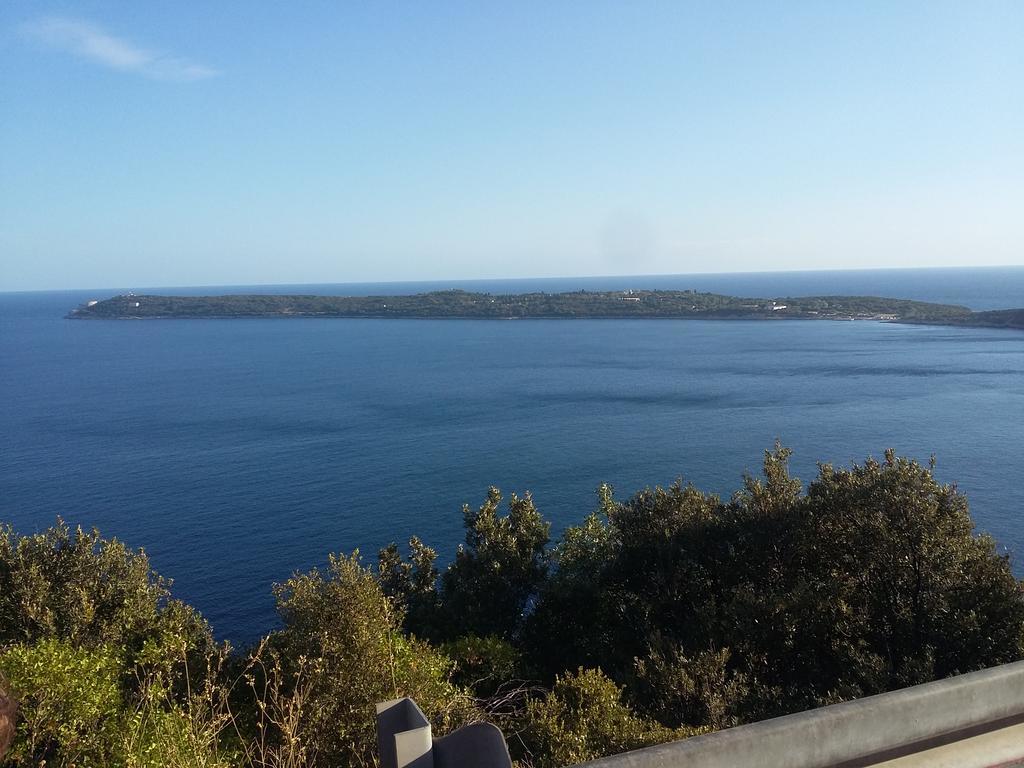 Apartmani Seka Herceg Novi Bagian luar foto